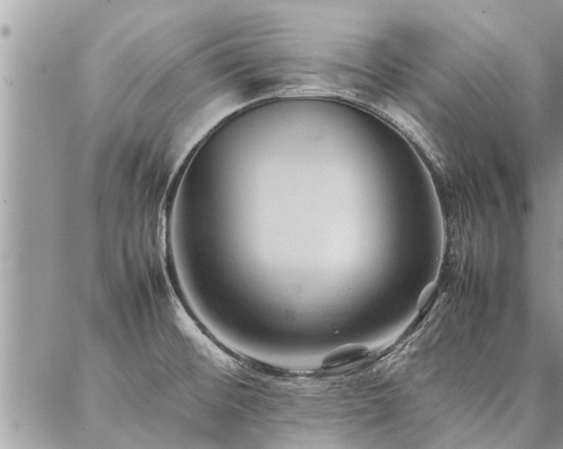 X0000087391476200704201230