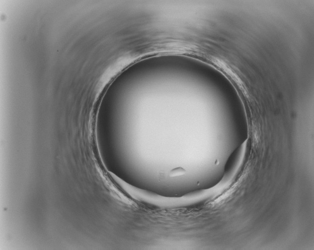 X0000087391477200704201230