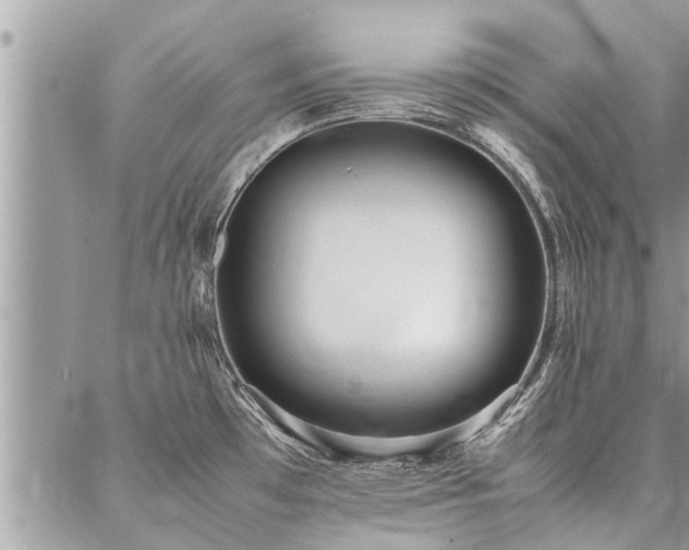 X0000087391481200704201230