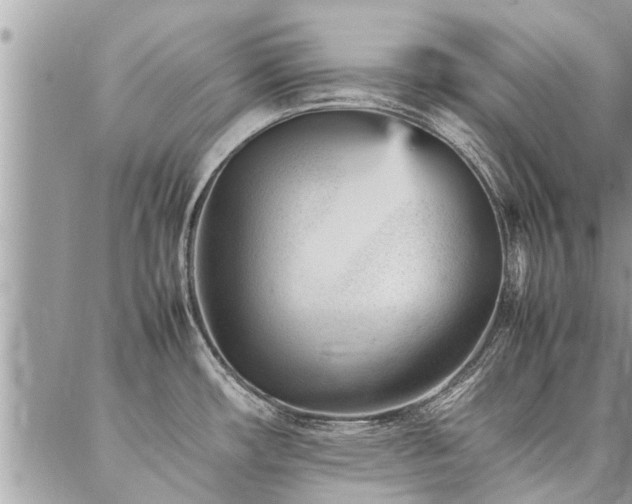 X0000087391482200704201230