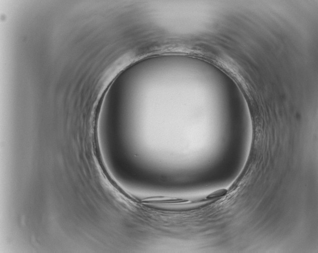 X0000087391483200704201230