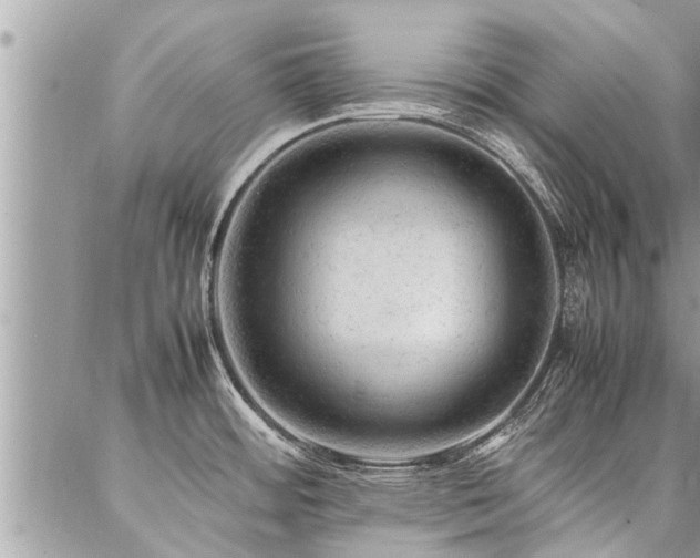 X0000087391484200704201230