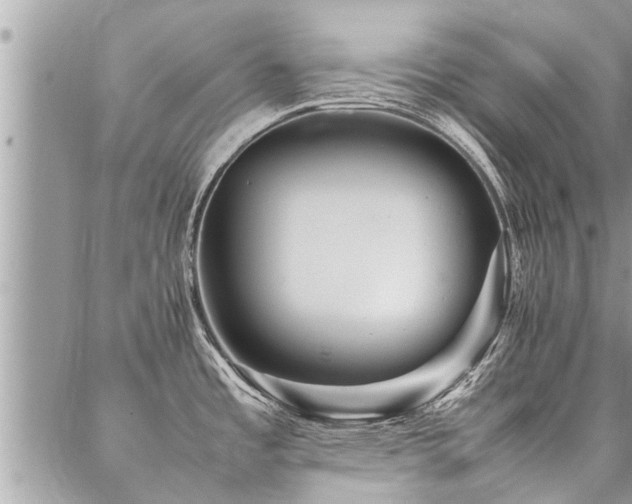 X0000087391485200704201230