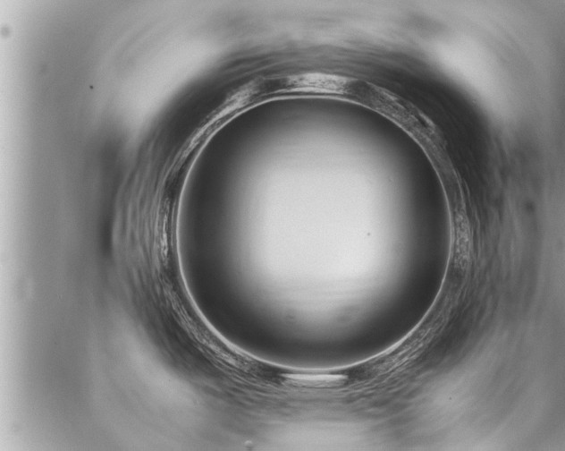 X0000087391487200704201230