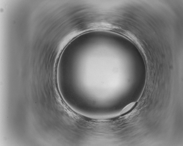 X0000087391488200704201229