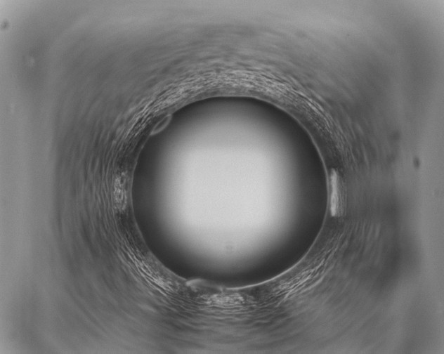 X0000087391491200704201229