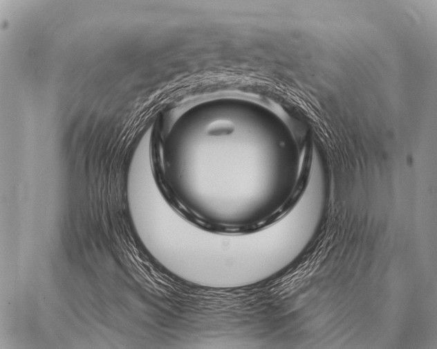 X0000087391492200704201229