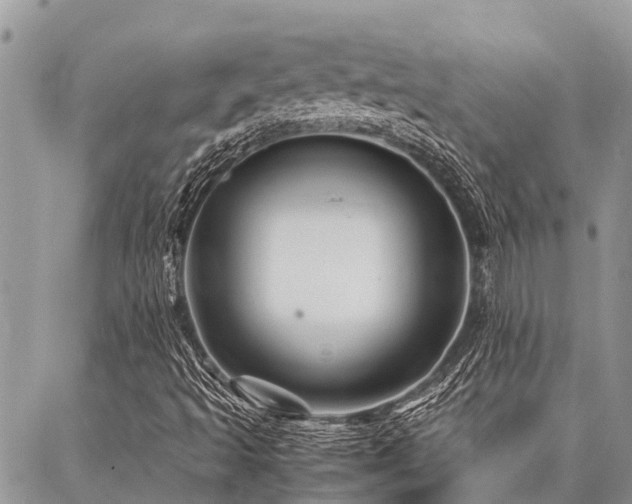 X0000087391493200704201229