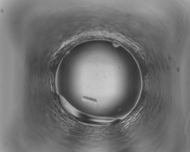 X0000087391494200704201229