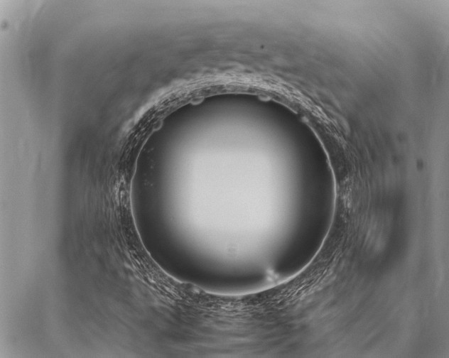 X0000087391495200704201229