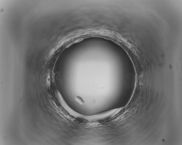 X0000087391496200704201229