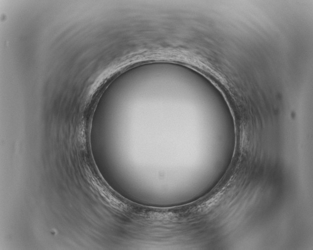 X0000087391498200704201229