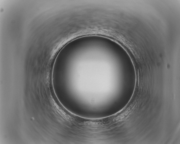 X0000087391500200704201229