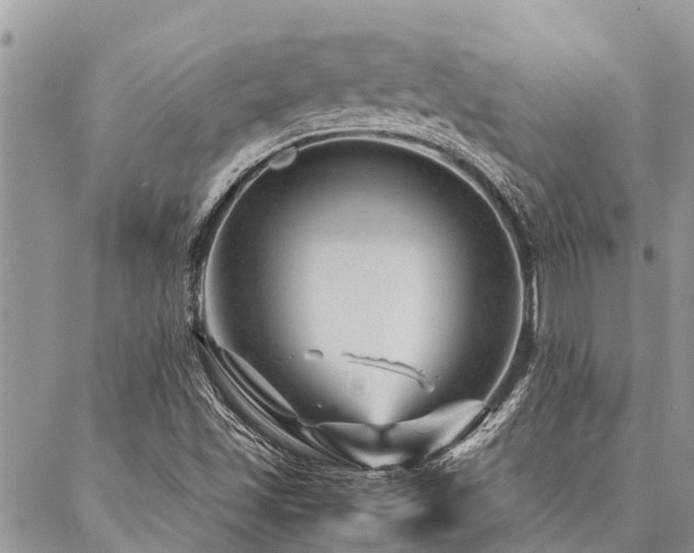 X0000087391501200704201229