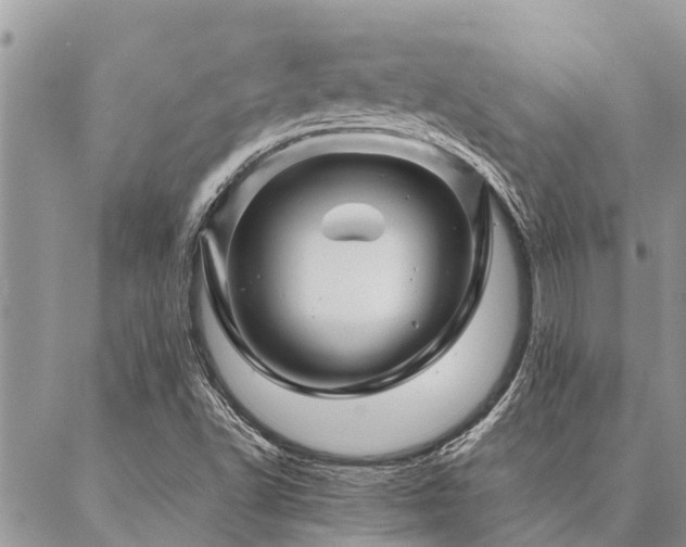 X0000087391502200704201229