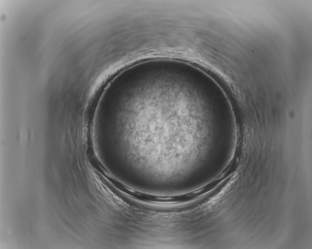 X0000087391506200704201229