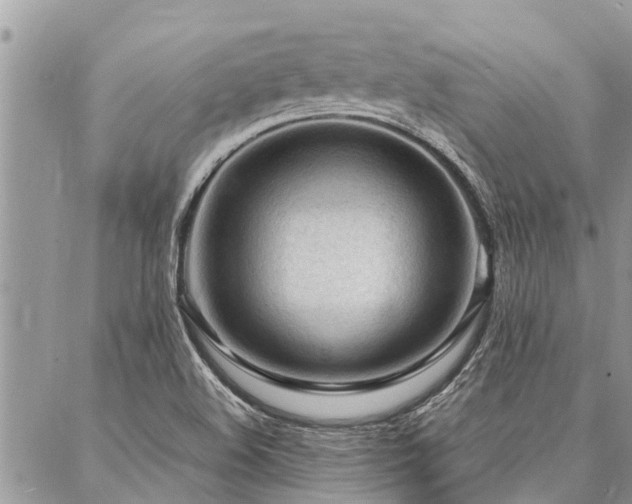 X0000087391508200704201229