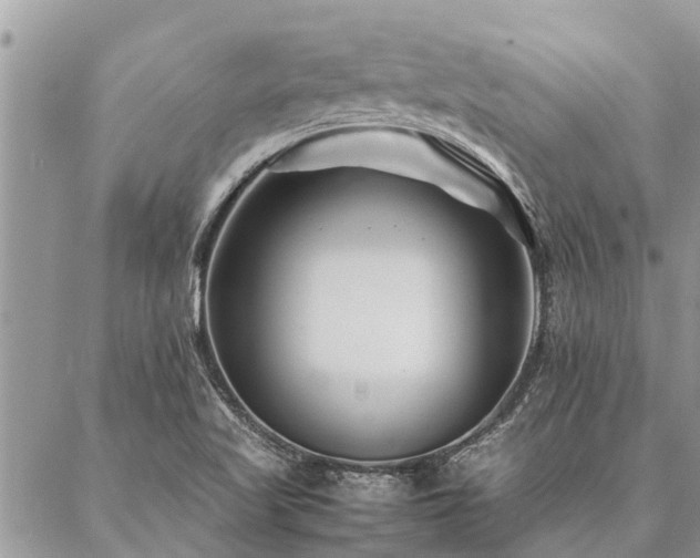 X0000087391509200704201229