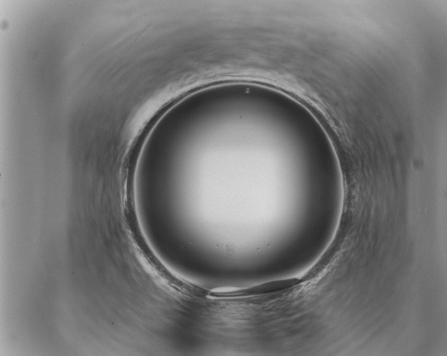 X0000087391511200704201229