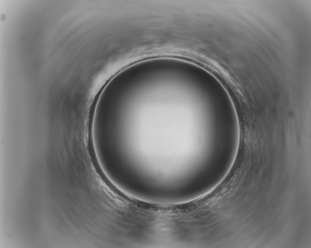 X0000087391512200704201229