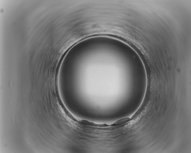 X0000087391513200704201229