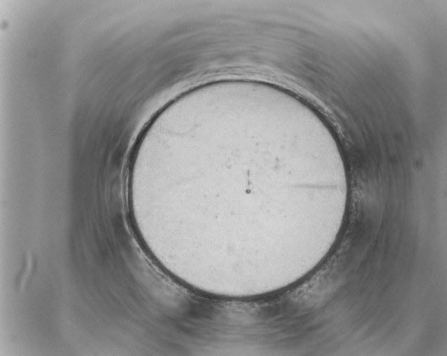 X0000087391514200704201229