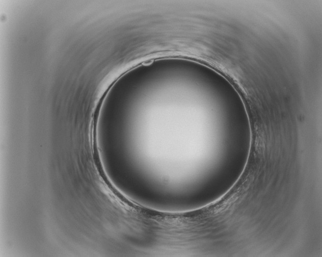 X0000087391516200704201229