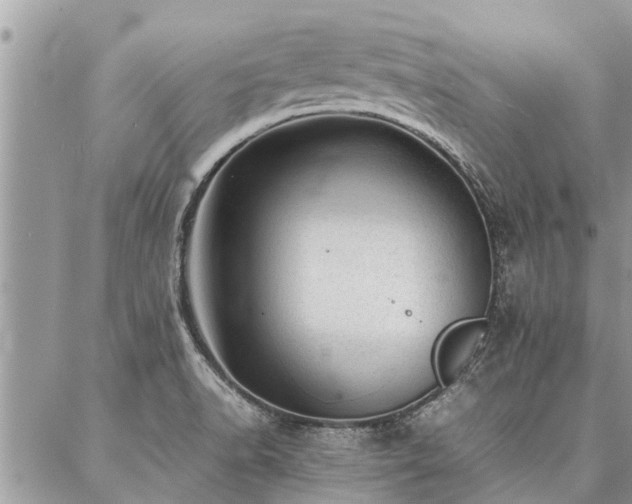 X0000087391518200704201229