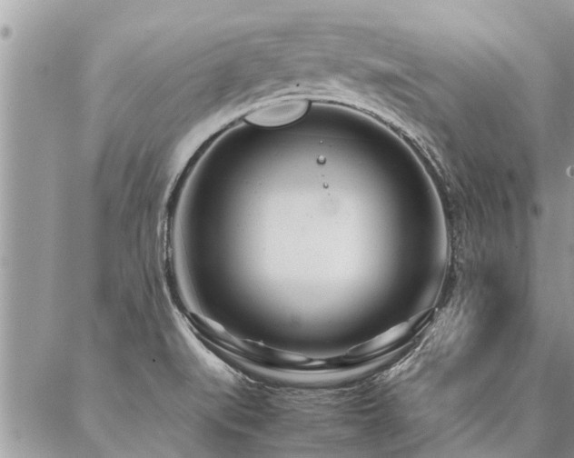 X0000087391519200704201229