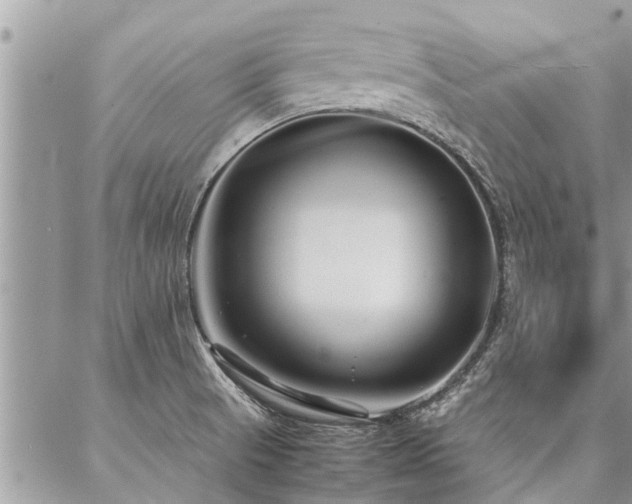 X0000087391521200704201229