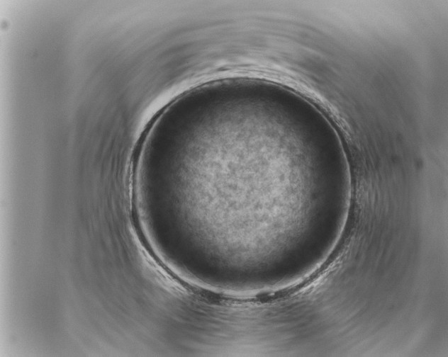 X0000087391522200704201229