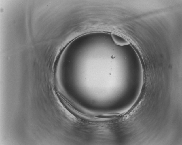 X0000087391525200704201229