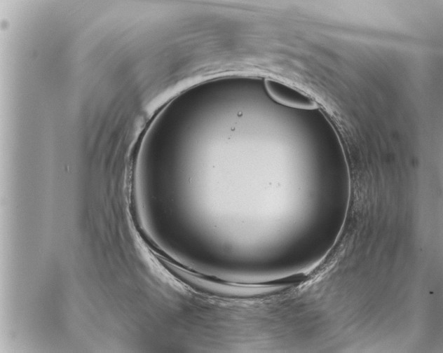 X0000087391526200704201229