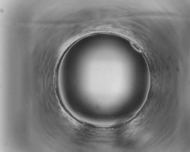 X0000087391527200704201229