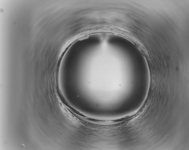 X0000087391530200704201229