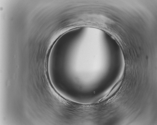 X0000087391531200704201229