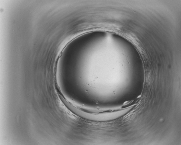 X0000087391532200704201229