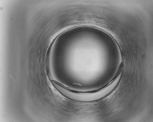 X0000087391534200704201229