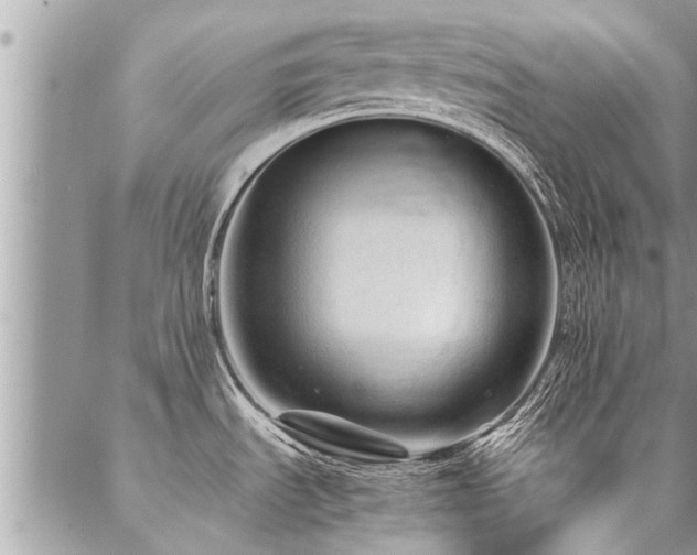 X0000087391535200704201229