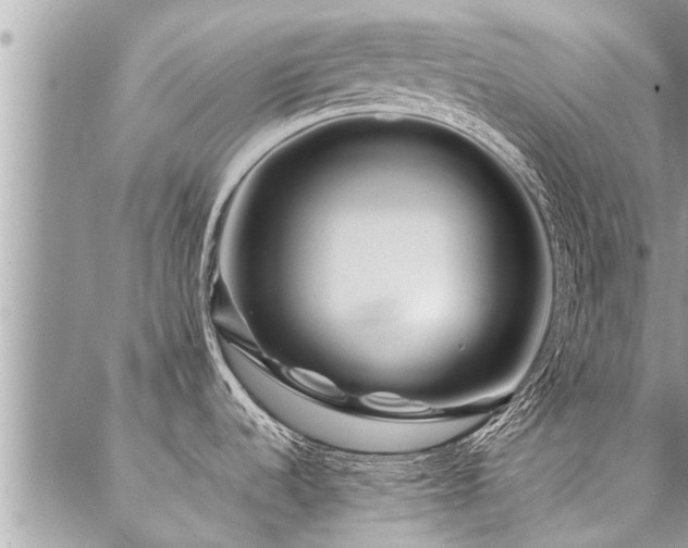 X0000087391536200704201229