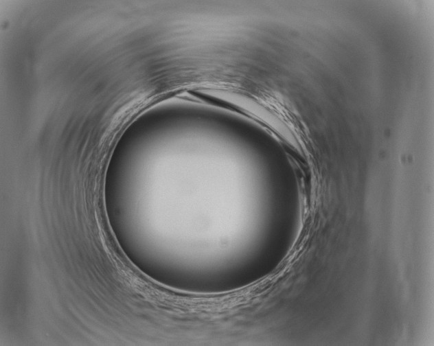 X0000087390001200704271634