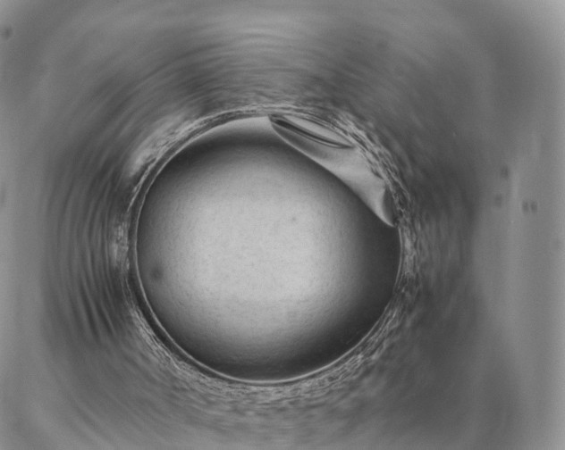 X0000087390002200704271634