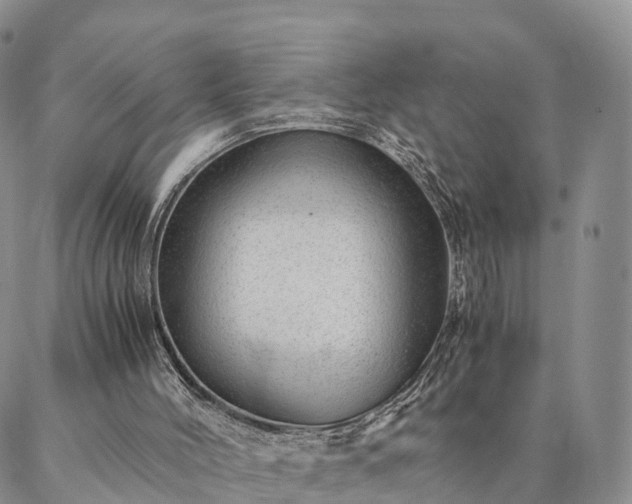 X0000087390004200704271634