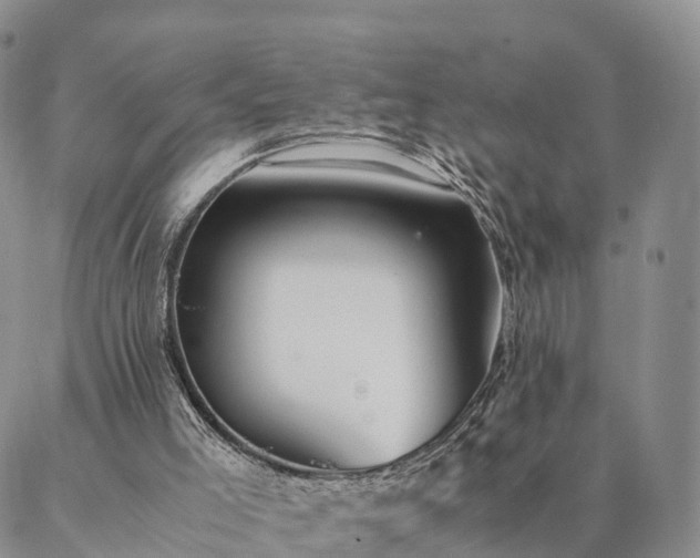 X0000087390005200704271634