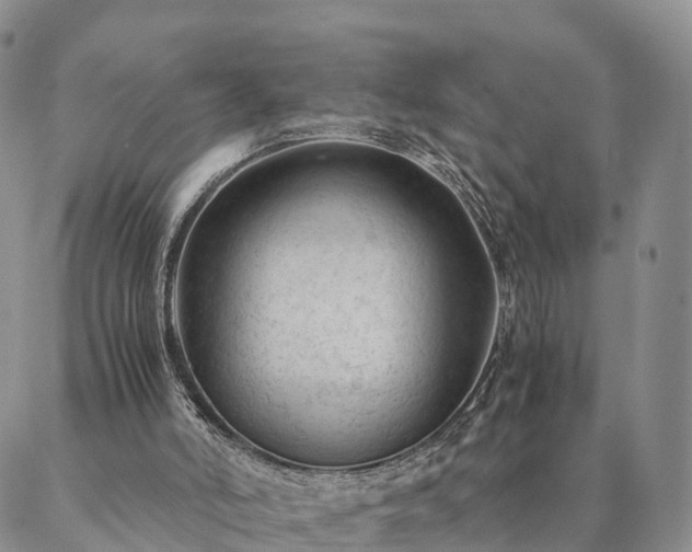 X0000087390006200704271634