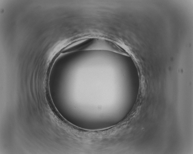 X0000087390007200704271634