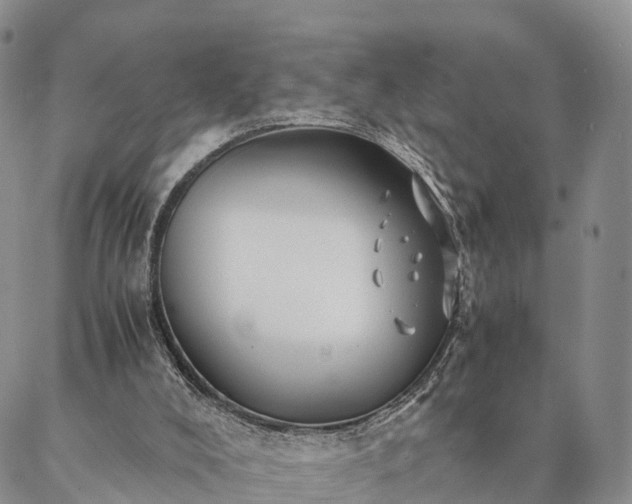 X0000087390008200704271634