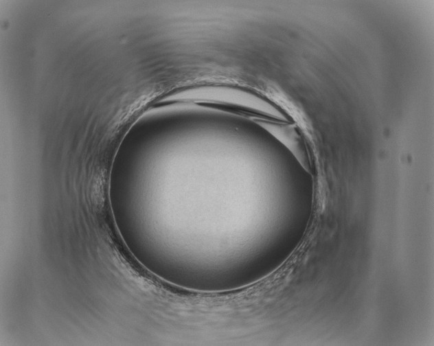 X0000087390009200704271634