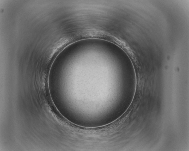 X0000087390010200704271634