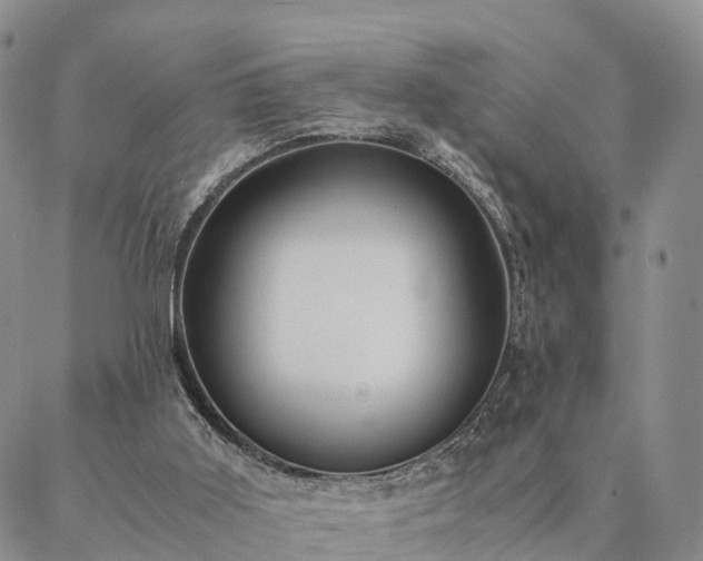 X0000087390011200704271634